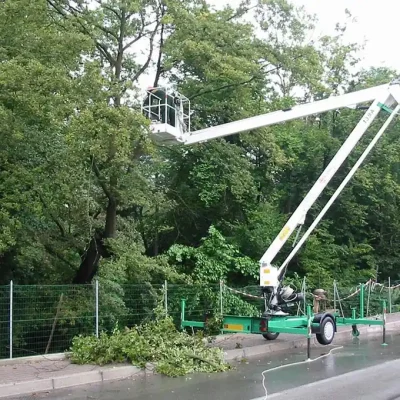 Intervento in sicurezza di potatura e abbattimento alberi ad alto fusto con piattaforma aerea in provincia di Treviso.